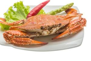 crabe bouilli sur la plaque et fond blanc