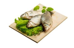 poisson carassin sur plaque de bois et fond blanc photo