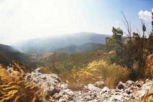 vue sur le paysage d'été photo