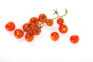 vue isolée de la tomate photo