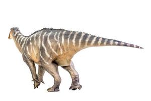 dinosaure iguanodon sur un tracé de détourage d'arrière-plan blanc isolé photo