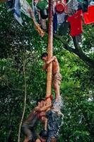 pamulang, 17 août 2022. divers concours pour commémorer la fête de l'indépendance de l'indonésie ont été organisés de manière simple mais toujours vivante. photo