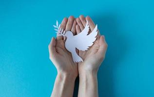 mains tenant un pigeon blanc en papier sur fond bleu. le jour de la paix dans le monde. Journée mondiale de la science pour la paix et le développement. photo