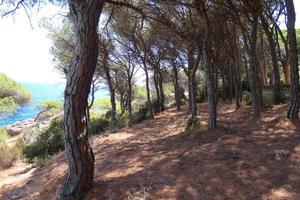 côte accidentée, côte méditerranéenne de la costa brava catalane, sant feliu de guixols photo