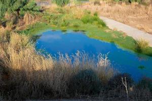 zones humides à proximité de la rivière llobregat photo