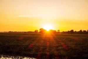 lever de soleil au billabong photo