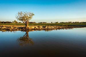 reflet d'arbre sur billabong photo