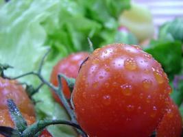 vue de la nourriture sous forme de buffet photo