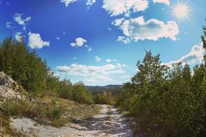 vue sur la route de campagne photo