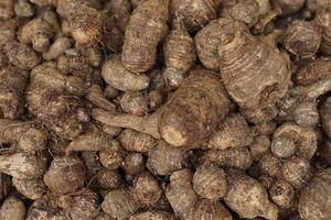 taro sain et frais soigneusement disposé pour la vente sur le marché. fond de légumes sains et frais photo