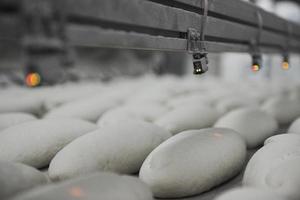 production d'usine de pain photo