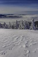 vue d'un paysage d'hiver depuis le sommet de la montagne radhost photo