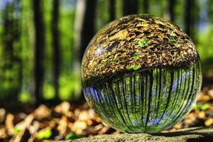 boule de verre dans la nature photo