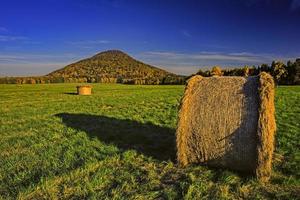 ensilage en prairie photo