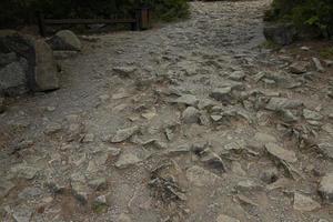 mauvais chemin touristique avec des pierres saillantes sur la route touristique. difficultés en randonnée. photo