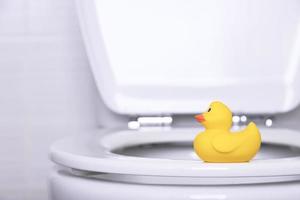 modèle en plastique d'un canard jaune sur le rebord d'une toilette blanche à domicile dans la salle de bain. photo