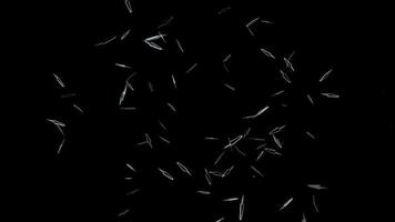explosion d'éléments de ligne blanche sur fond noir toile abstraite - illustration d'ordinateur concept de fond de technologie graphique photo