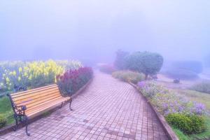 passerelle dans la brume. photo