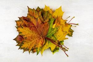 bouquet d'automne de feuilles d'érable sèches sur fond en bois. photo