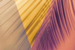 ombres de feuille de palmier sur fond géométrique de couleurs orange, rose et violet. style plat. image tonique photo