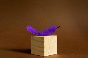 concept tendance - plume violette sur cube en bois sur fond marron. forme géométrique et plume fluo moelleuse. photo