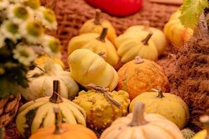 fond de citrouille d'automne. Close up de mini citrouilles au marché de producteurs photo