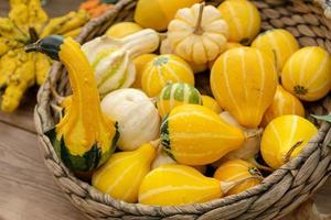 fond de citrouille d'automne. Close up de mini citrouilles au marché de producteurs photo