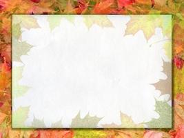 feuille de papier sur fond de feuilles photo