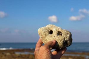 nahariya israël 15 mai 2020. pierres et coquillages dans un parc de la ville sur la côte méditerranéenne. photo