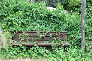 banc de repos dans le parc de la ville. photo