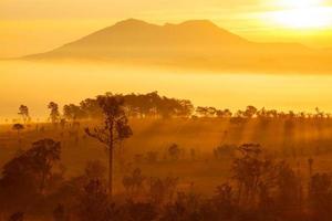 Lever du soleil du matin brumeux en montagne au parc national de Thung Salang Luang Phetchabun, Thaïlande photo