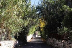 route piétonne dans le parc de la ville. photo