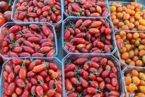 des légumes et des fruits sont vendus dans un bazar en israël. photo