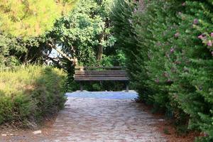 banc de repos dans le parc de la ville. photo