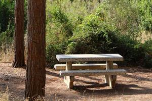 banc de repos dans le parc de la ville. photo