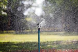 arroseur d'eau dans le jardin photo