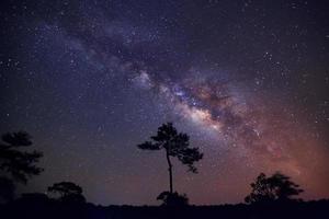 la voie lactée au-dessus de l'ombre d'un arbre, photographie longue exposition, avec grain photo