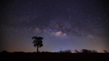 silhouette d'arbre et belle voie lactée sur un ciel nocturne. photographie longue exposition. photo