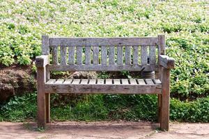 vieux banc en bois dans le jardin photo