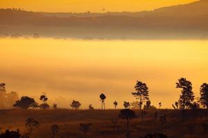 Lever du soleil du matin brumeux en montagne au parc national de Thung Salang Luang Phetchabun, Thaïlande photo