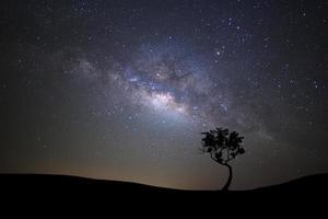 silhouette de paysage d'arbre avec galaxie de la voie lactée et poussière d'espace dans l'univers, ciel étoilé de nuit avec des étoiles photo