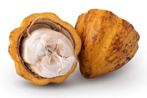 Fruits de cacao mûrs isolés sur fond blanc photo