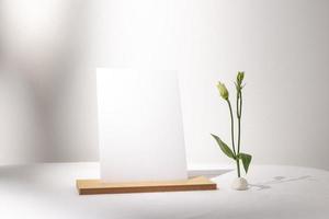 papier modèle avec plante, ombre sur table et fond blanc, superbe design à toutes fins. fond abstrait. modèle de bannière. La publicité photo