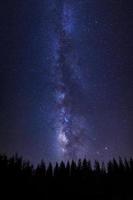 belle voie lactée et silhouette de pin sur un ciel nocturne avec des étoiles et de la poussière spatiale dans l'univers photo