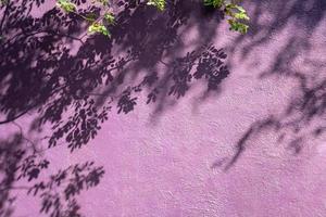 mur de texture vintage violet avec branche d'arbre et ombre de feuille sur le fond du mur. photo