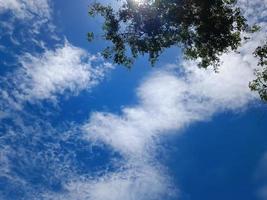 ciel bleu nuage le soleil contre les arbres soleil de l'après-midi à bangkok en thaïlande photo