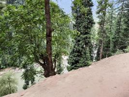 Le Cachemire est la plus belle région du monde, célèbre pour ses vallées verdoyantes, ses beaux arbres, ses hautes montagnes et ses sources jaillissantes. photo