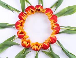 fond de fête des mères, bouquet de fleurs de tulipe - beau bouquet rouge, jaune isolé sur tableau blanc, vue de dessus, mise à plat, concept de conception de maquette. photo