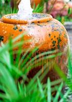 plante parapluie cyperus et la petite fontaine dans un pot en céramique photo
