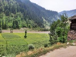 Le Cachemire est la plus belle région du monde, célèbre pour ses vallées verdoyantes, ses beaux arbres, ses hautes montagnes et ses sources jaillissantes. photo